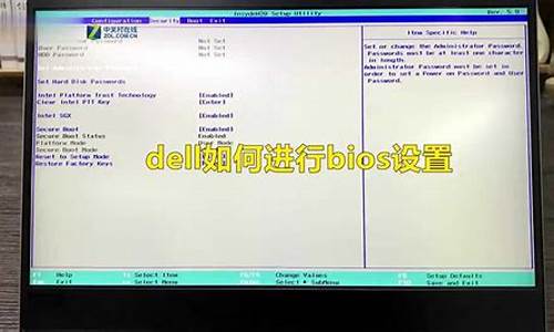 dell新bios设置usb启动在哪里_dell新机型bios设置usb启动步骤